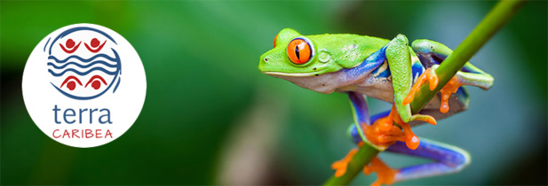 Terra Caribea, Réceptif Costa Rica