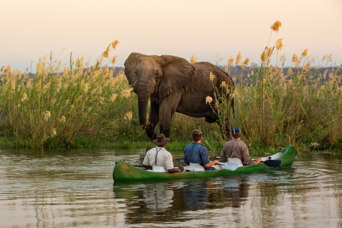 Le Zimbabwe est l’une des nouvelles destinations proposées cette année par Eluxtravel, avec le Mozambique et la Zambie. - @Eluxtravel Le Zimbabwe est l’une des nouvelles destinations proposées cette année par Eluxtravel, avec le Mozambique et la Zambie. - @Eluxtravel