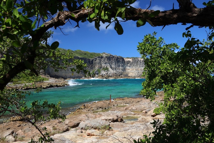 La Guadeloupe part à la conquête du marché allemand