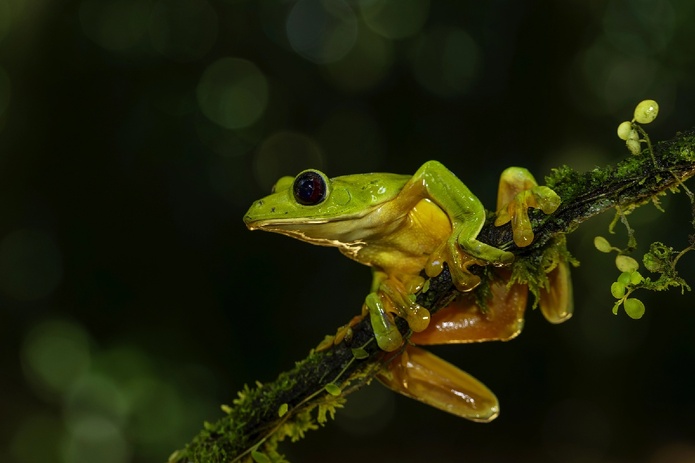 AmériGo relance son service dédié aux voyages à la carte sur l’Amérique Latine. - Depositphotos.com henk.bogaard@planet.nl AmériGo relance son service dédié aux voyages à la carte sur l’Amérique Latine. - Depositphotos.com henk.bogaard@planet.nl